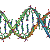 DNA