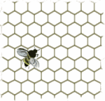 Figure 9: Home at last
